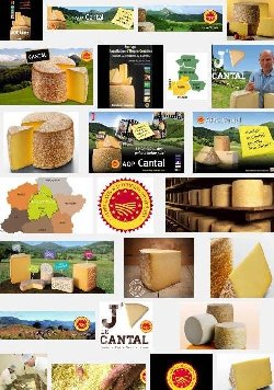 Cantal (aoc-aop)